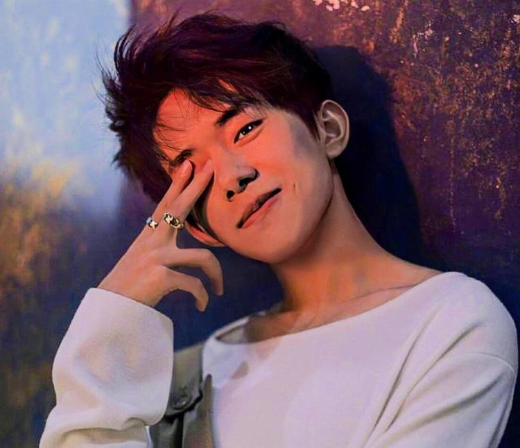 浓眉哥新星势不可挡表现惊艳，加拿大队未来可期！的简单介绍